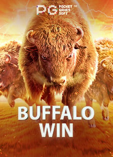 slot xo 77710 รับ 100 เว็บ ใหม่ ที่คุณไม่ควรพลาด!